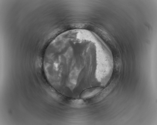 X0000112970374200909241331