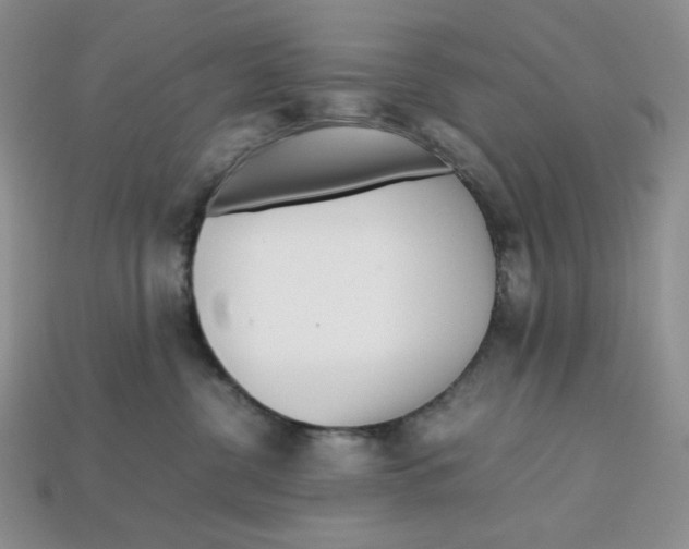 X0000112970380200909241331