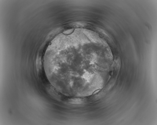 X0000112970381200909241331