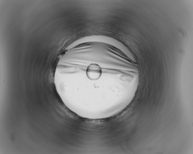 X0000112970384200909241331