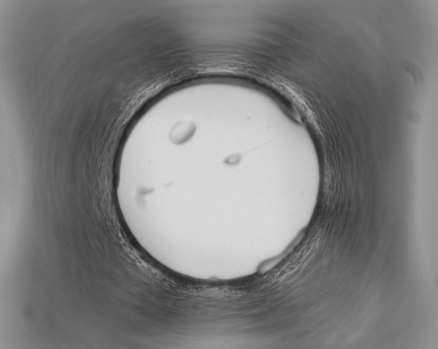 X0000112970385200909241331