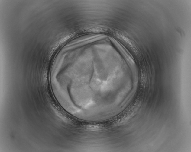 X0000112970394200909241331
