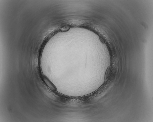 X0000112970399200909241331