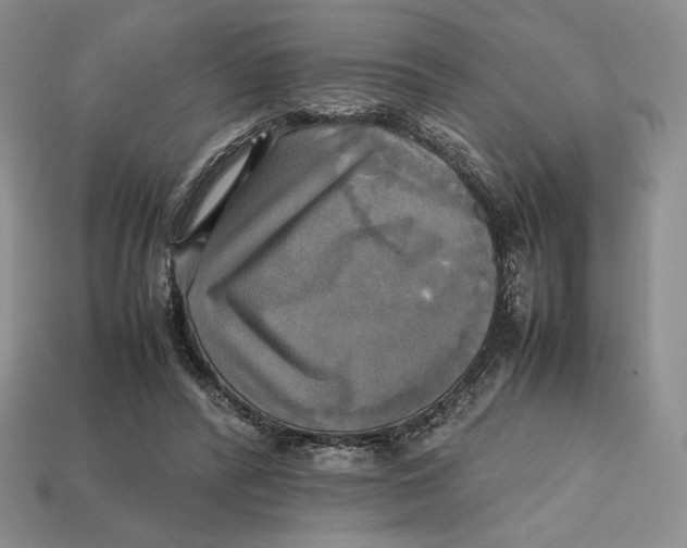 X0000112970400200909241331