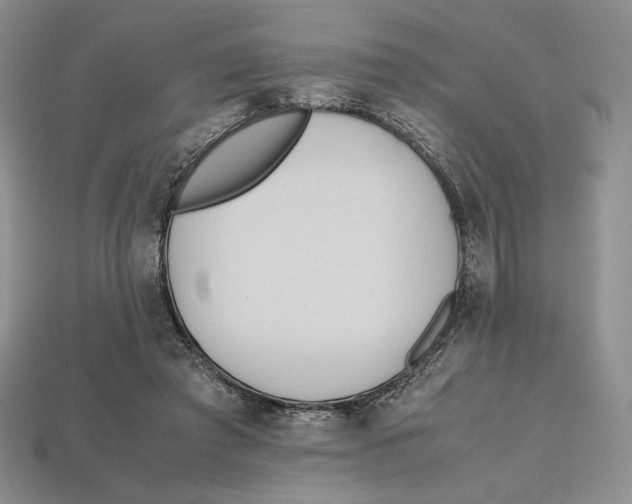 X0000112970401200909241331