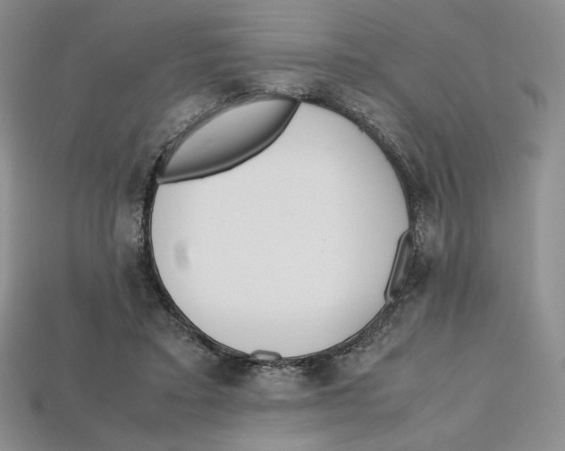X0000112970403200909241331