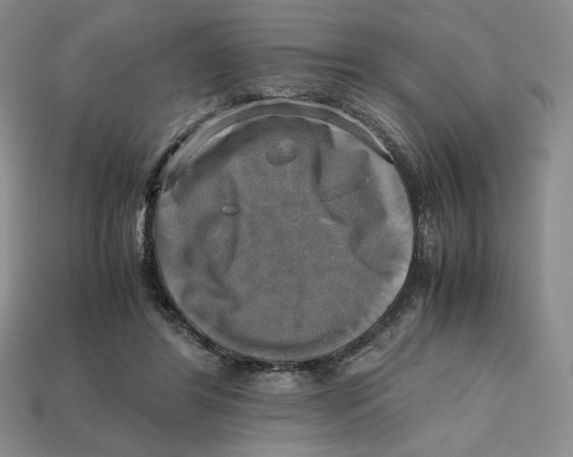 X0000112970404200909241331