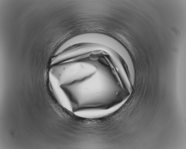 X0000112970405200909241331