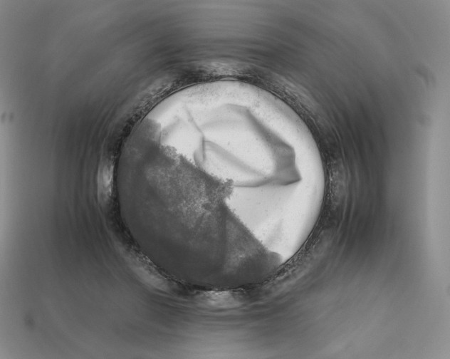 X0000112970406200909241331
