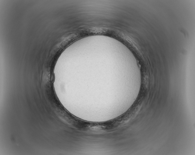X0000112970407200909241331