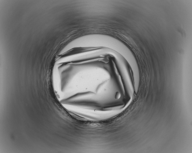 X0000112970409200909241331