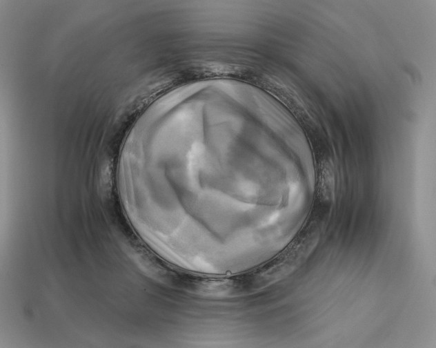 X0000112970410200909241331