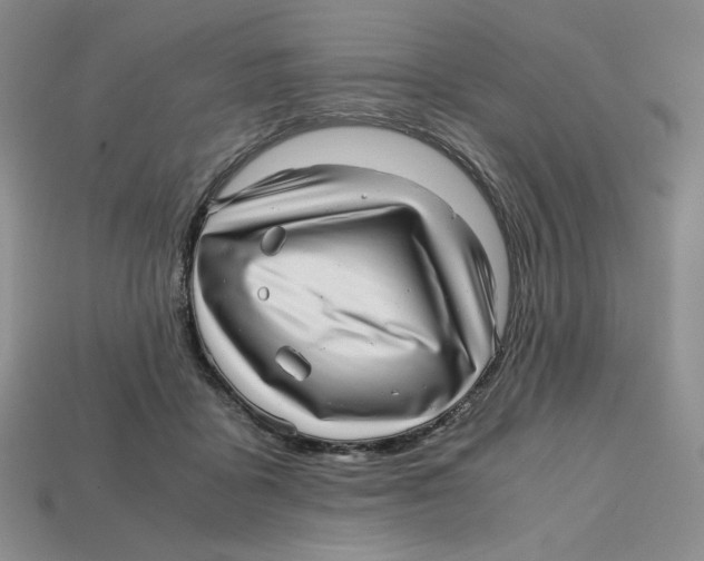 X0000112970411200909241331