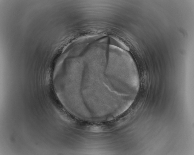 X0000112970412200909241331