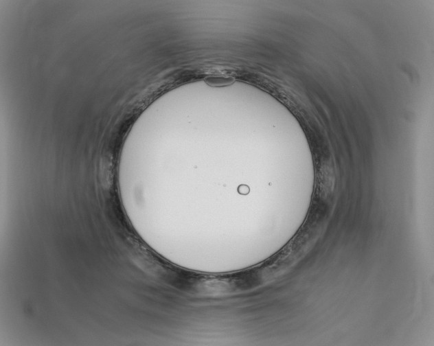 X0000112970413200909241331