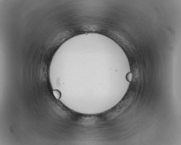 X0000112970414200909241331
