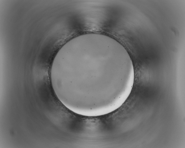 X0000112970415200909241330