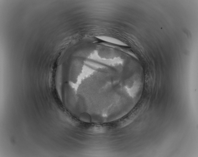 X0000112970416200909241330