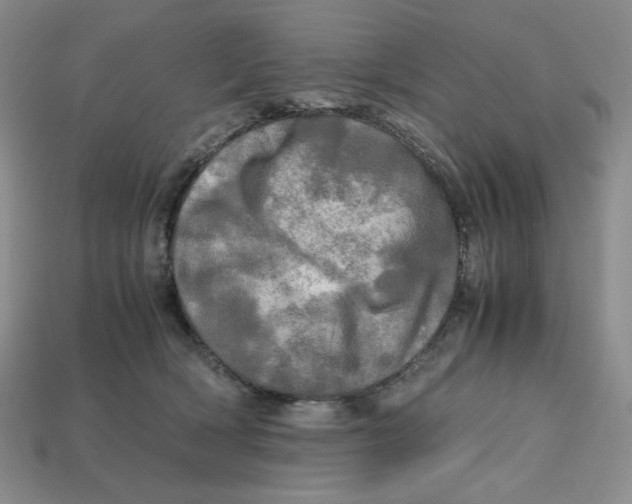 X0000112970418200909241330