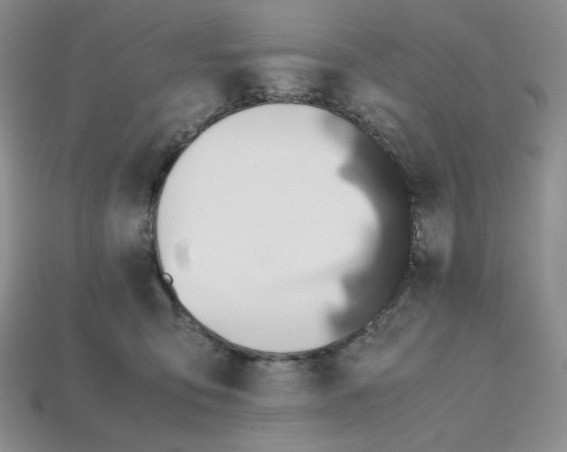 X0000112970419200909241330