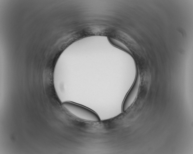 X0000112970421200909241330
