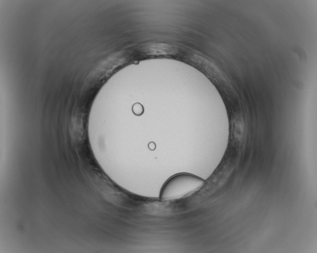 X0000112970422200909241330