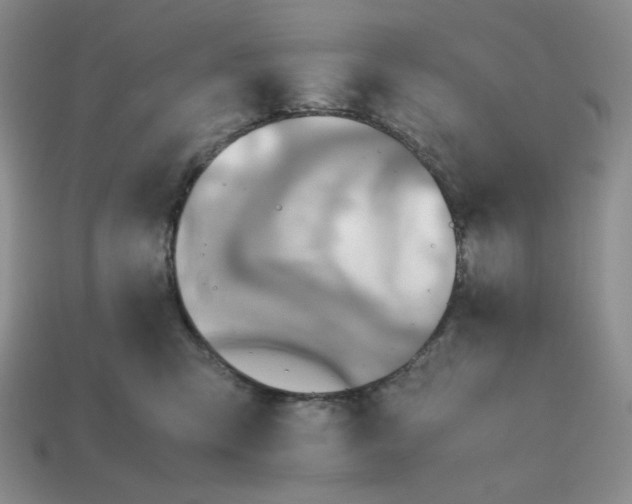 X0000112970423200909241330