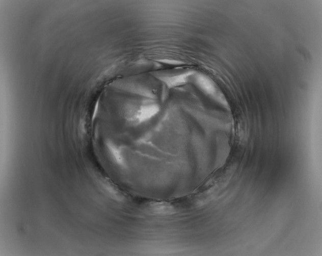 X0000112970424200909241330