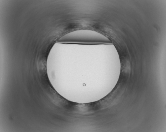X0000112970425200909241330