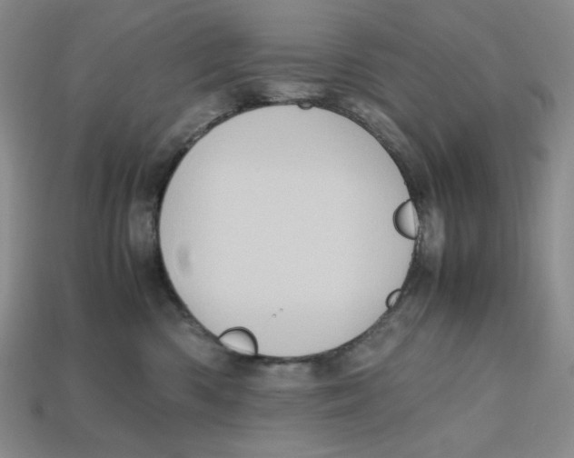 X0000112970426200909241330