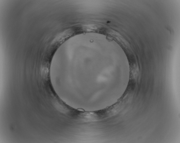 X0000112970427200909241330