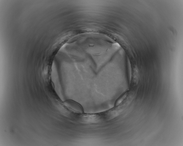 X0000112970428200909241330
