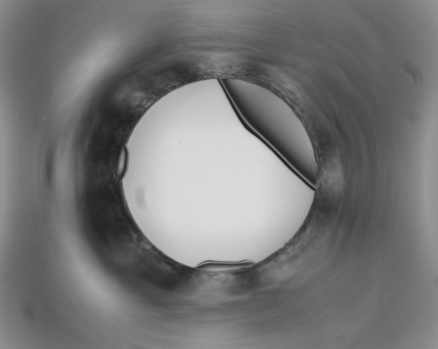 X0000112970429200909241330
