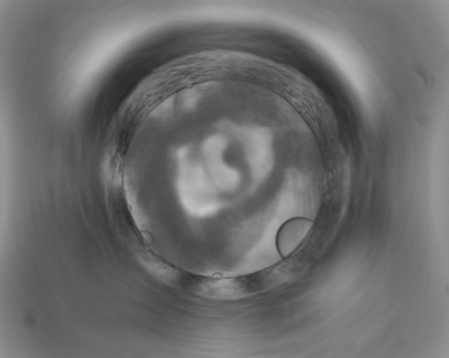 X0000112970431200909241330