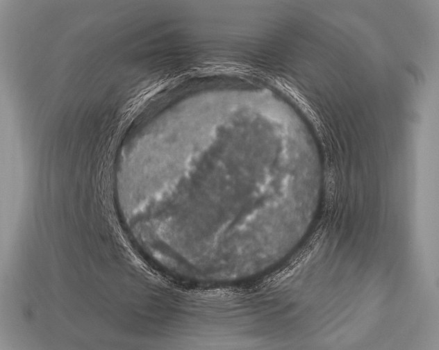 X0000112970433200909241330