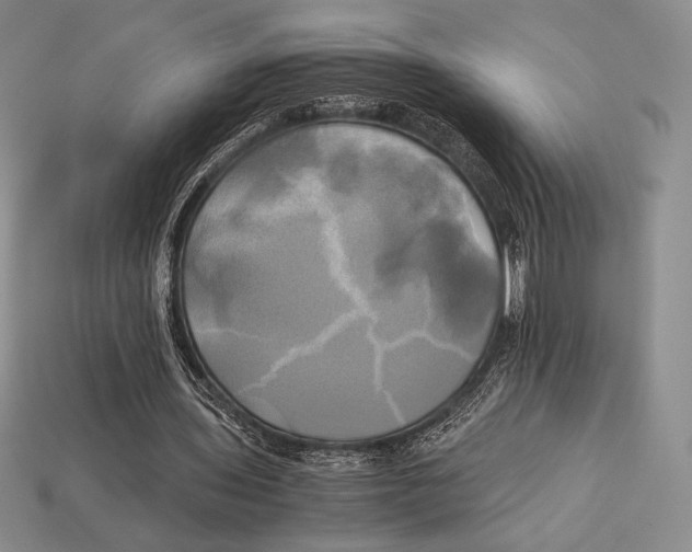 X0000112970435200909241330