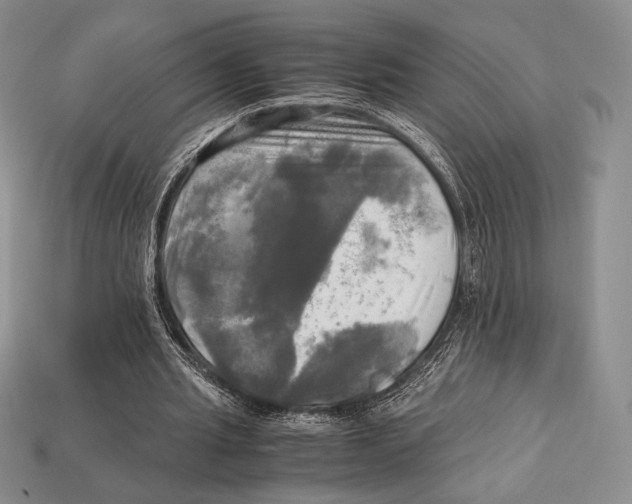 X0000112970437200909241330