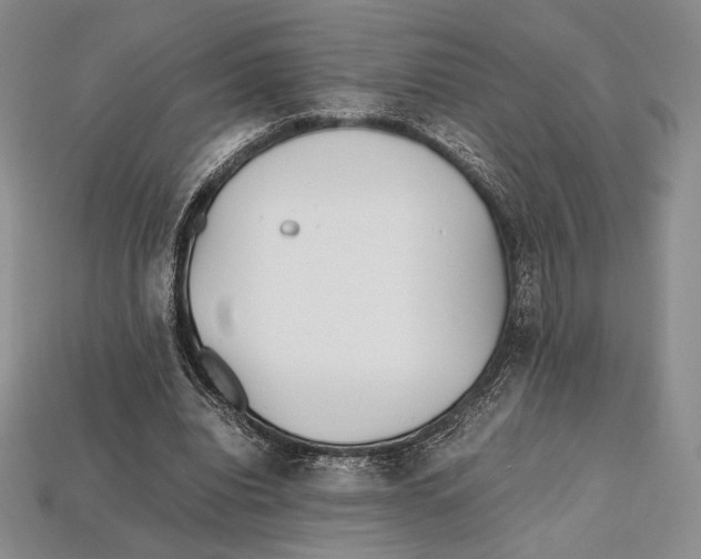 X0000112970440200909241330