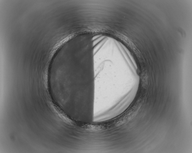 X0000112970442200909241330