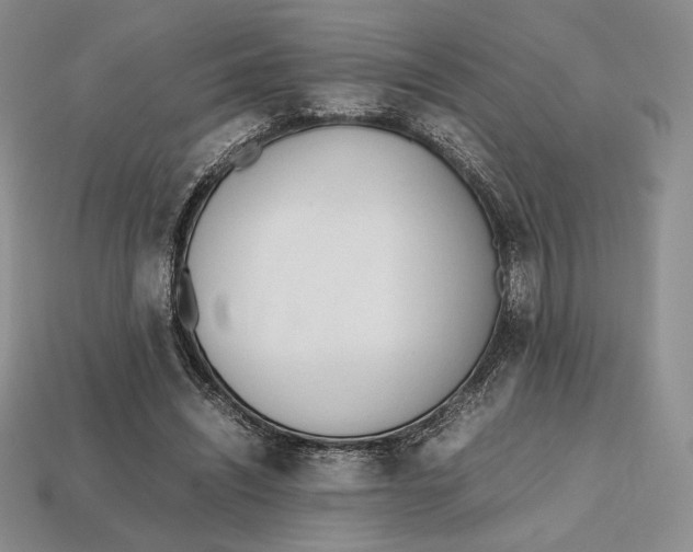 X0000112970444200909241330