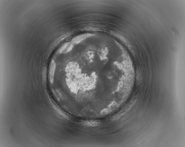 X0000112970445200909241330