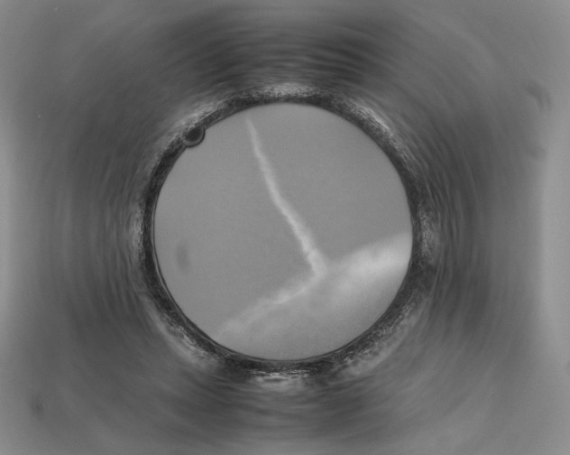 X0000112970447200909241330