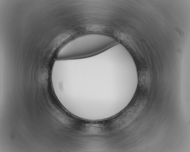 X0000112970448200909241330