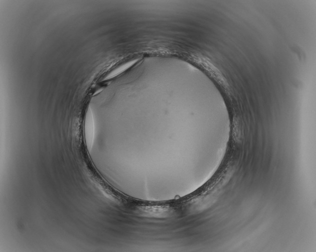 X0000112970449200909241330