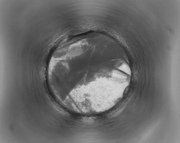 X0000112970450200909241330