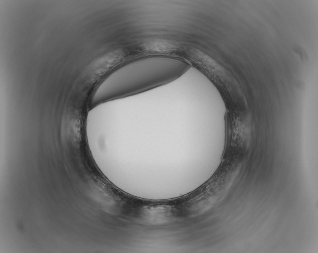 X0000112970452200909241330