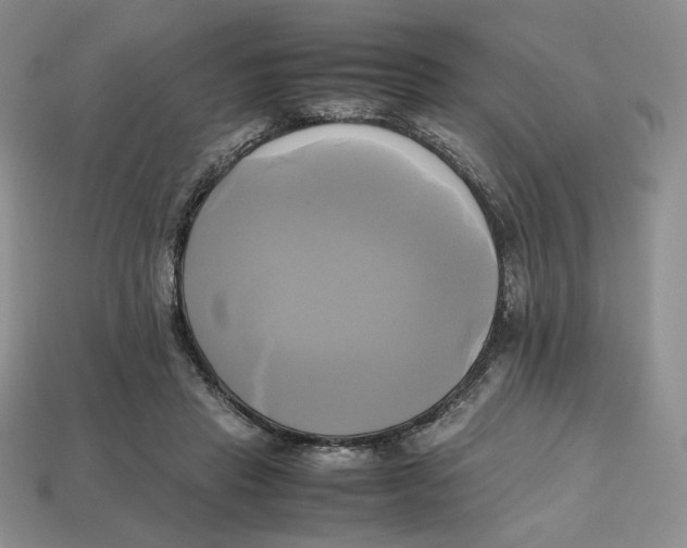 X0000112970453200909241330