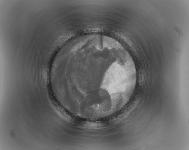X0000112970455200909241330