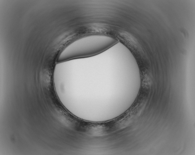 X0000112970456200909241330