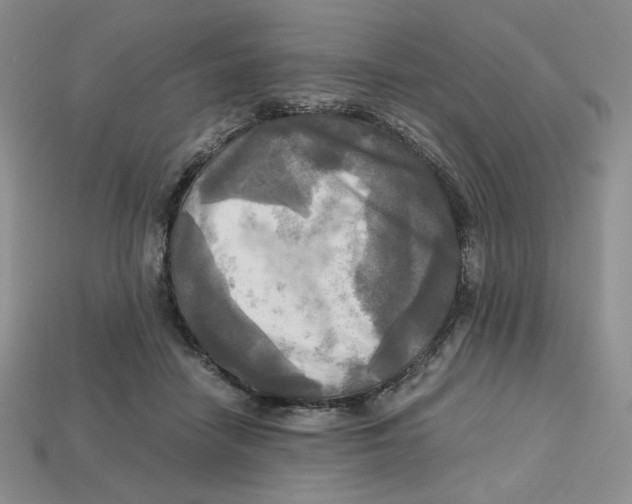 X0000112970458200909241330